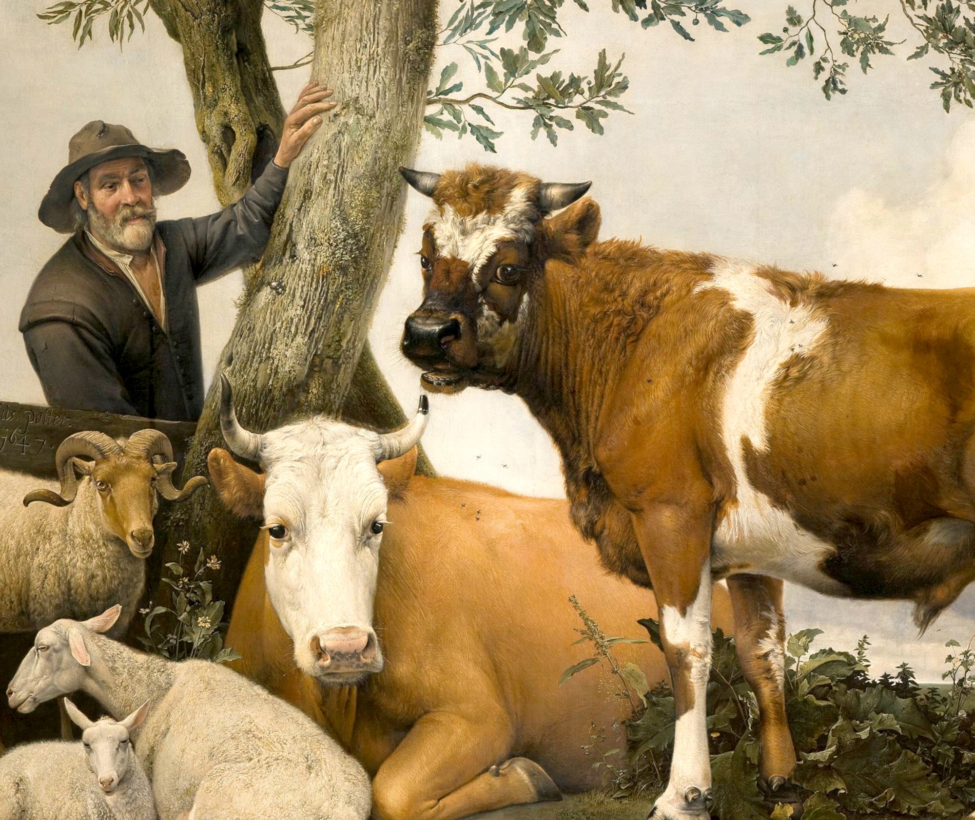 Paulus Potter Fine Art Print, The Young Bull