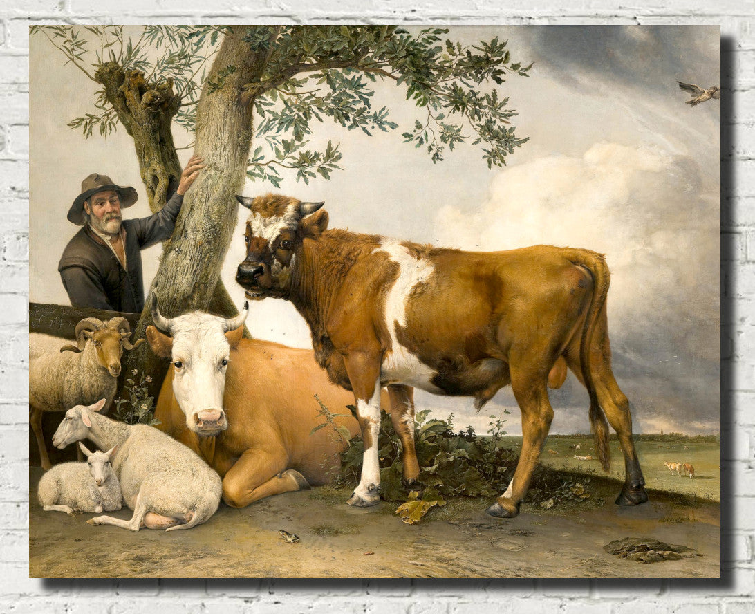 Paulus Potter Fine Art Print, The Young Bull