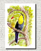 Toucan Watercolour Print, Andi Lucas Wildlife Art