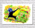 Toucan Watercolour Print, Andi Lucas Bird Wildlife Art