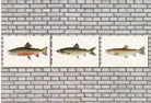 Trout Fishing Prints Set 3 Angling Wall Art 0590