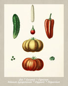 Vegetables Print Vintage Botanical Illustration Poster Art - OnTrendAndFab