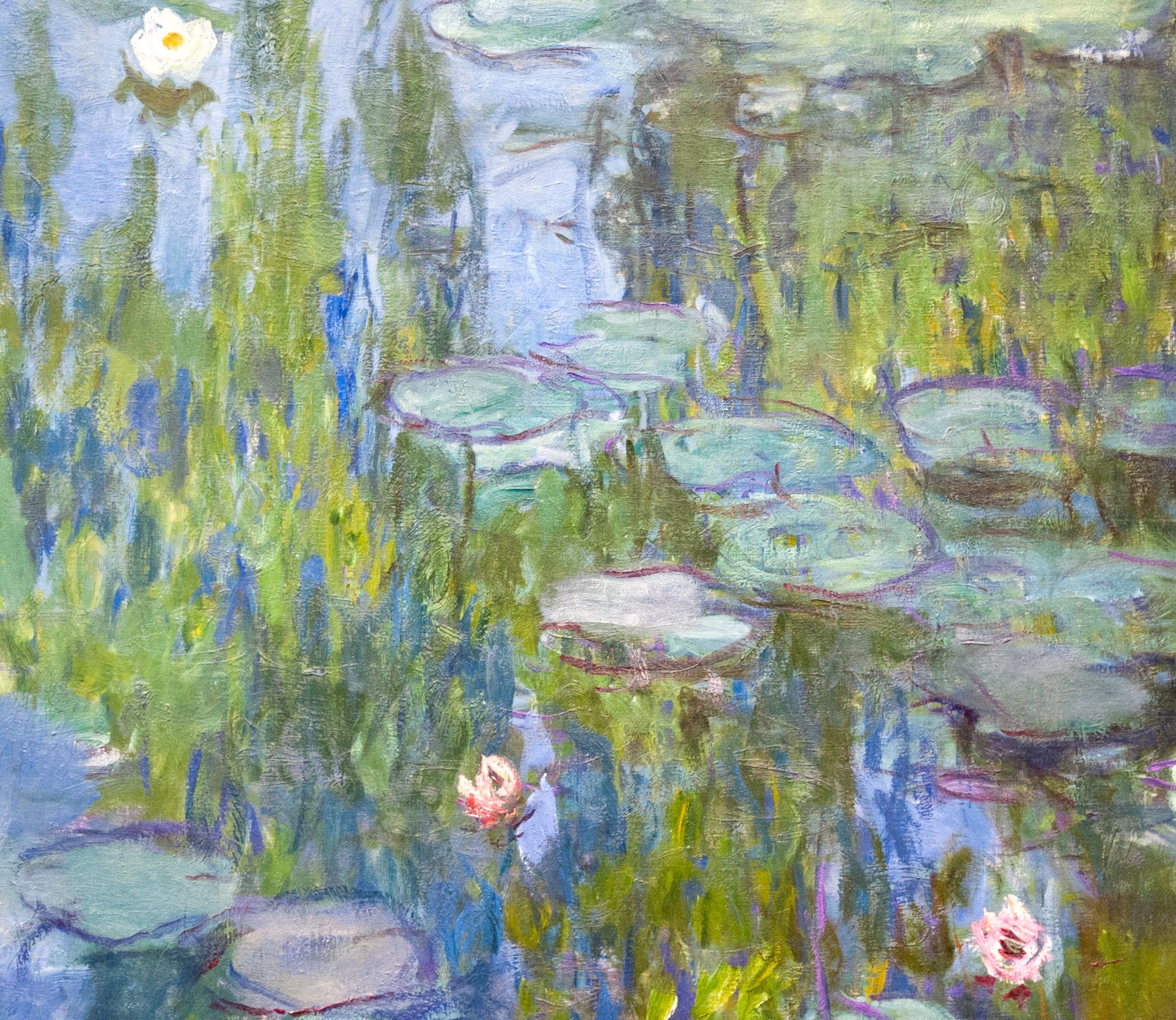 Claude Monet Fine Art Print, Water Lilies